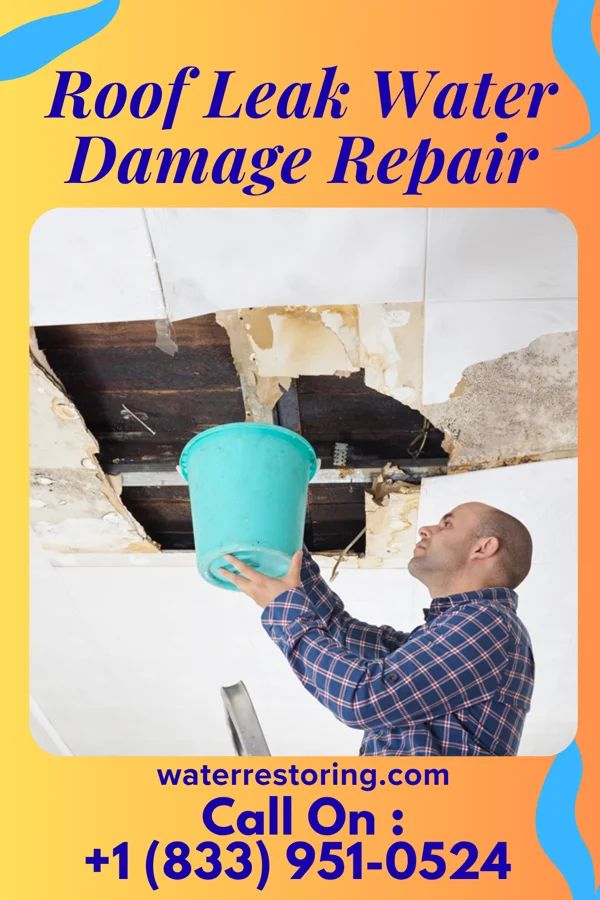 Roof Leak Water Damage Repair in Columbia, SD